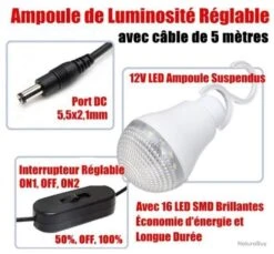 Générateur Solaire - Avec 4 Ampoules LED - Câble De 5M - Panneau Solaire - Multifonctions -Nitecore Boutique 00003 Generateur solaire Avec 4 ampoules LED Cable de 5M Panneau solaire Multifonctions
