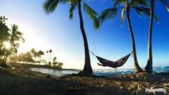 Eno Singlenest Hamac Noir / Jaune -Nitecore Boutique 00005 Eno Singlenest Hamac Noir Jaune