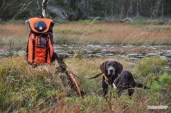 SAC A DOS 28 Litres - FLUO - NEVERLOST -Nitecore Boutique 00006 SAC A DOS 2 litres FLUO NEVERLOST