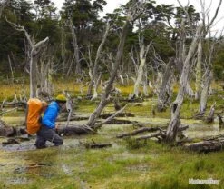 Fishpond Thunderhead Large Submersible Duffel Cutthroat Orange -Nitecore Boutique 00009 Fishpond Thunderhead Large Submersible Duffel Cutthroat Orange